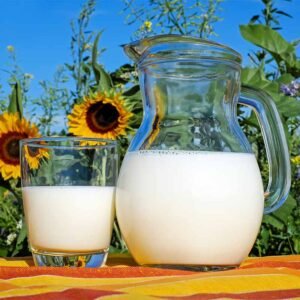 Got Milk? Jugs