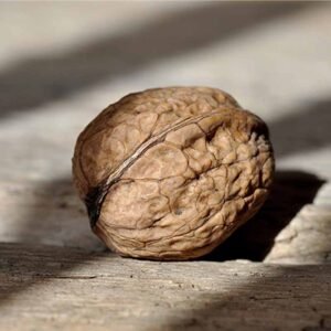 Awwwww - Nuts!
